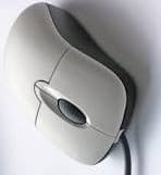 mouse1242133 — view 2