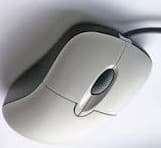 mouse1242133 — view 3