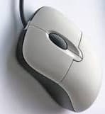mouse1242133 — view 4