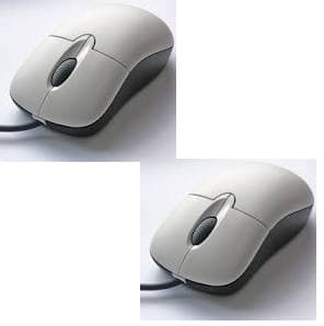 mouse1242133 — view 5