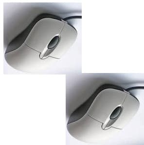 mouse1242133 — view 6