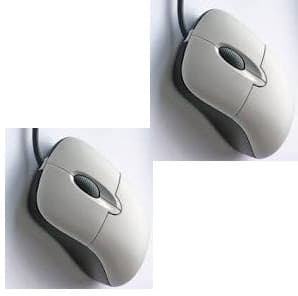 mouse1242133 — view 7